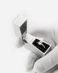 THE RING BOX SILVER SHADOW